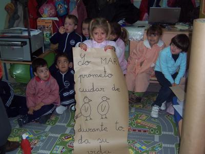 Adoptamos pollitos.