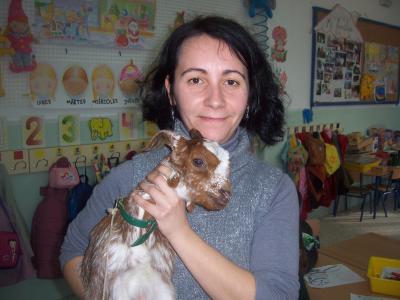 Trabajamos y aprendemos cosas de los Mamíferos.
