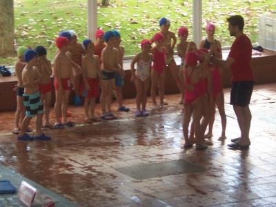 Al agua patos.